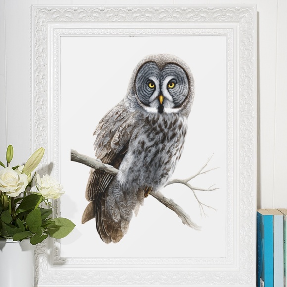 Watercolor Great Grey Owl Portrait Wall Art Print Poster, Unframed - Picture 6 of 6